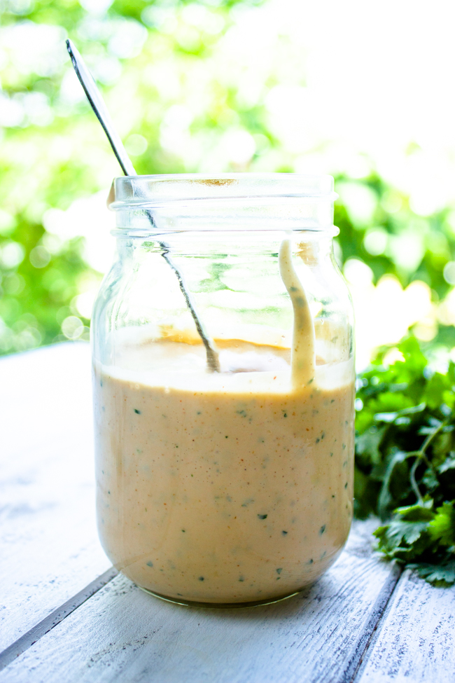 Better Than Subway - Creamy Chipotle Sauce 